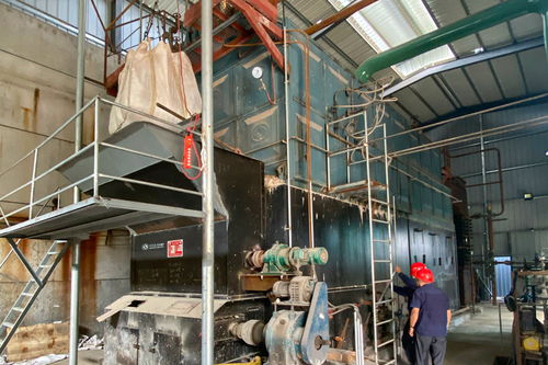 引领生物质锅炉产品的新变革 中正研发成果被应用于丹毛纺织项目
