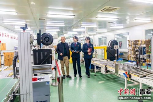 税费管家 守护藏药企业的传承与创新