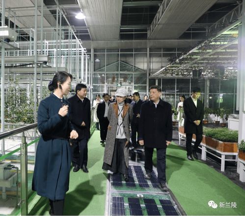 格力集团董事长董明珠来兰陵县考察