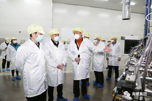 宣城海螺建筑光伏二期项目开工暨一期项目投产仪式举行