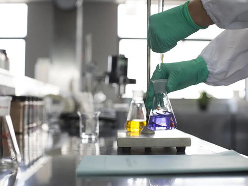 q sun氙灯老化箱助力 奉贤环保汽车涂料工程技术研究中心 进行水性涂料开发