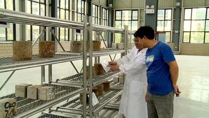昌耀新材:攻破磷石膏利用难题 找到一片新“蓝海”