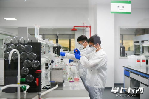 长沙 向 新 而行 为 质 而奔凤凰网湖南 凤凰网