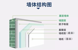 蒙必诺沙漠克星 专业解决墙固地固问题 开启绿色家装新篇章