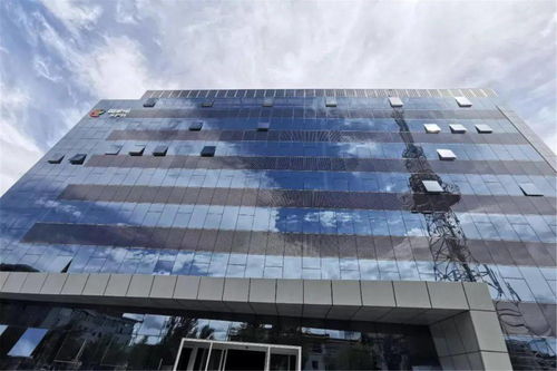 英利嘉盛出席BIPV技术应用专题会议 引领建材设计新趋势