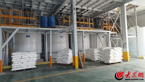 邹平市台子镇 用心用情助力建材设计企业加速跑